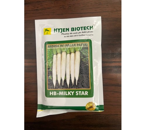 Hyjen Biotech HB-Milky Star F1 Hybrid Radish Seeds | Premium Mooli Seeds | High Yield White Radish Variety | 100g Pack