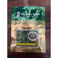 Namdhari Seeds NS 9521 F1 Hybrid Pumpkin Seeds | High Yield Kaddu Seeds | Premium Hybrid Vegetable Seeds | 50g Pack
