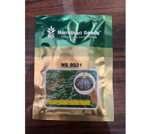 Namdhari Seeds NS 9521 F1 Hybrid Pumpkin Seeds | High Yield Kaddu Seeds | Premium Hybrid Vegetable Seeds | 50g Pack