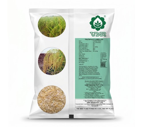 VNR Hybrid 2111 Plus Paddy Seeds | High Yield Hybrid Rice Seeds | Premium Dhan Beej for Better Yield