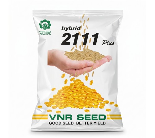 VNR Hybrid 2111 Plus Paddy Seeds | High Yield Hybrid Rice Seeds | Premium Dhan Beej for Better Yield