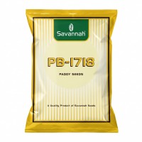 Savannah PB-1718 Paddy Seeds | Premium Rice Seeds for High Yield Farming | Quality Dhan Beej