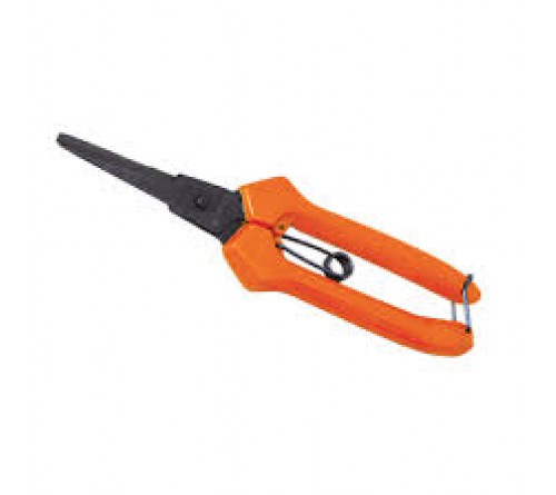 FALCON Rose Harvester By-Pass Secateur – 190 mm Precision Flower & Bonsai Pruner