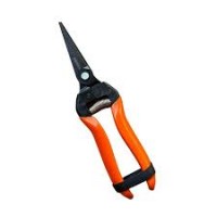 FALCON Fruit Pruner – By-Pass Secateur for Flowers, Bonsai & Precision Pruning (195 mm)