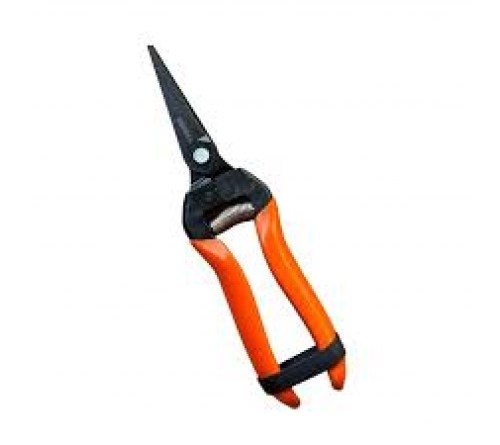 FALCON Fruit Pruner – By-Pass Secateur for Flowers, Bonsai & Precision Pruning (195 mm)