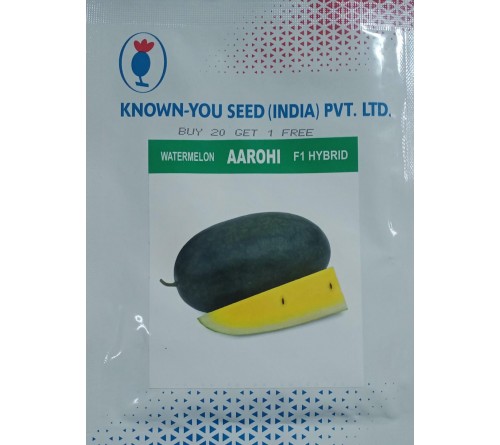 WATERMELON - AAROHI 
