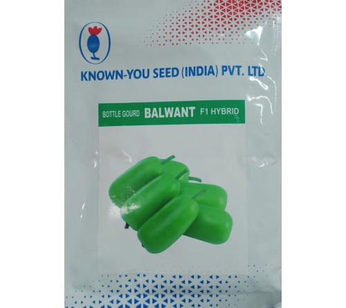 BOTTLE GOURD F1-BALWANT