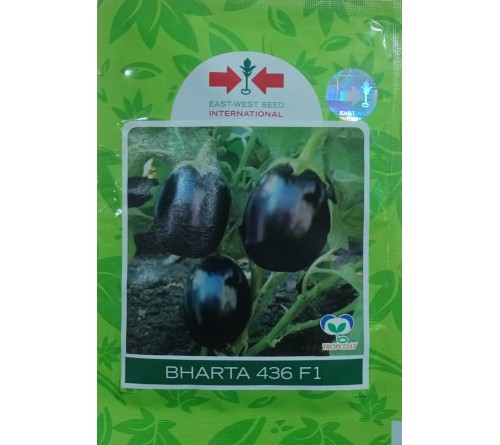EGGPLANT