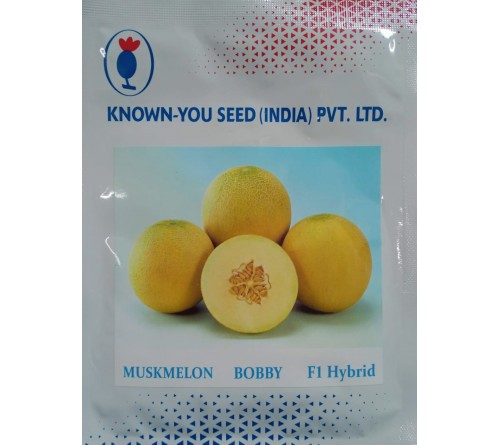 MUSKMELON BOBBY