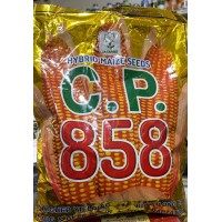HYBRID MAIZE CP 858 