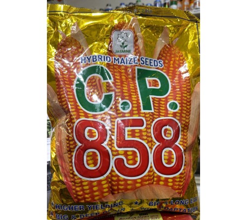 HYBRID MAIZE CP 858 