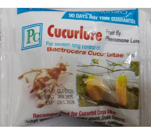 PHEROMONE - CUCURLURE