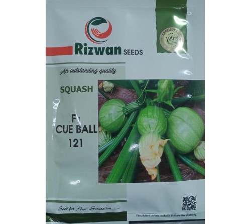 SQUASH - CUE BALL 121 - RIZWAN SEED