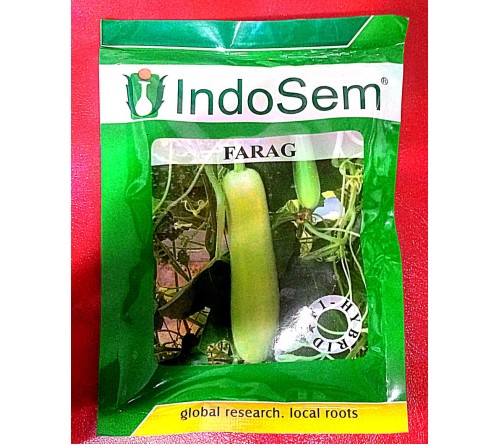 BOTTLE GOURD - FARAG