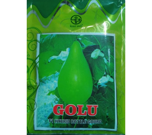 BOTTLE GOURD-GOLU