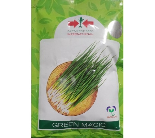 ONION - GREEN MAGIC