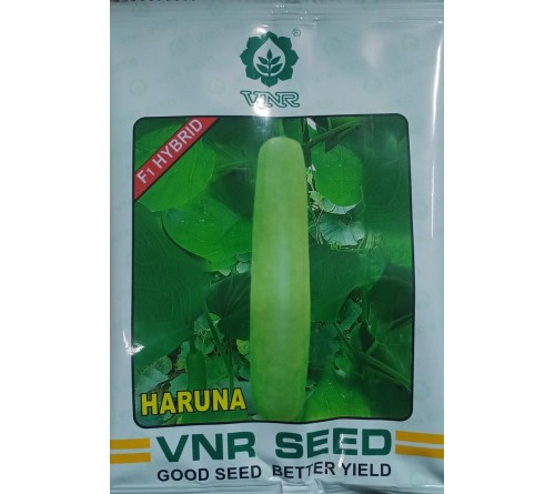 HYBRID BOTTLE GOURD - HARUNA