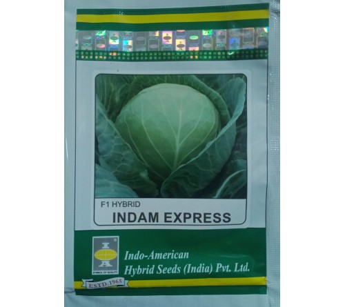 CABBAGE - INDAM EXPRESS