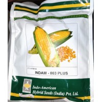 INDAM-003 PLUS (HYBRID SWEET CORN)