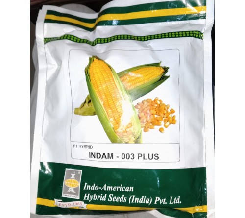 INDAM-003 PLUS (HYBRID SWEET CORN)