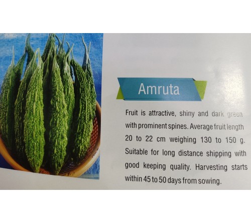 BITTER GOURD