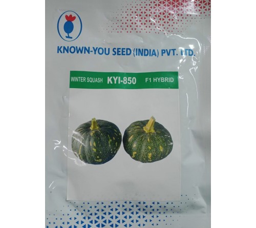 WINTER SQUASH-KYI-850