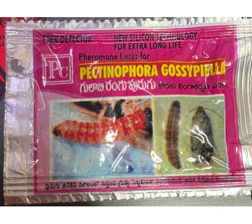 PHEROMONE LURE