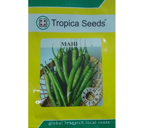 HYBRID CHILLI - MAHI