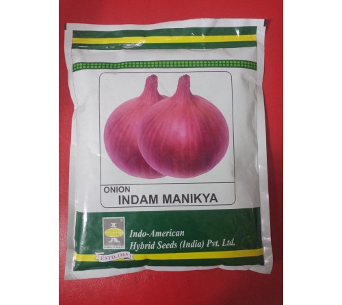 ONION-INDAM-MANIKYA
