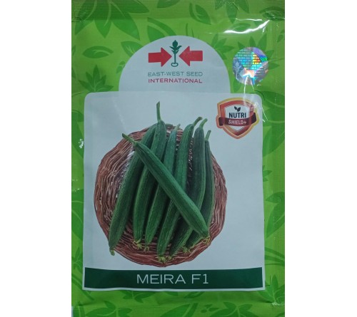 F1 HYBRID SPONGE GOURD