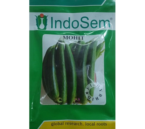 SPONGE GOURD F1 - MOHIT