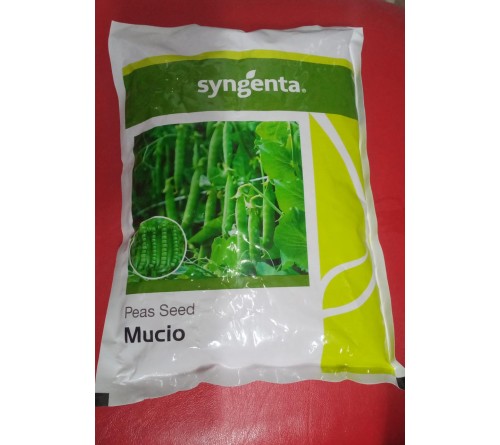 PEAS SEED - MUCIO