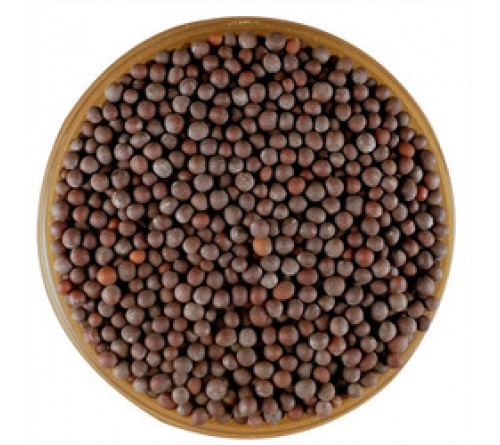 HYBRID MUSTARD SEEDS