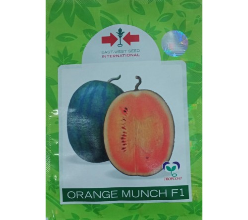 WATERMELON - ORANGE MUNCH