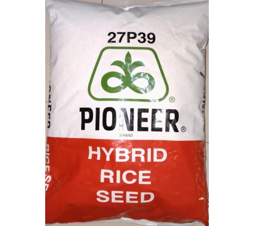 PIONEER HYBRID PADDY 27P39