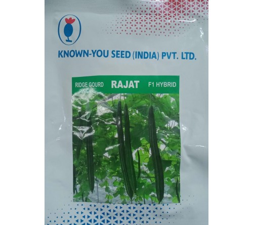 RIDGE GOURD - RAJAT