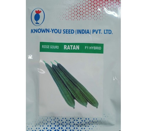 RIDGE GOURD-RATAN