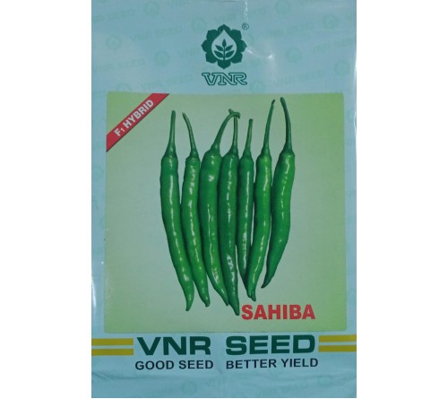 HYBRID CHILLI - SAHIBA