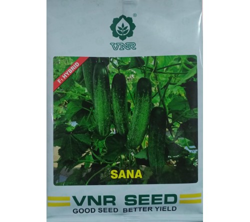 HYBRID CUCUMBER - SANA