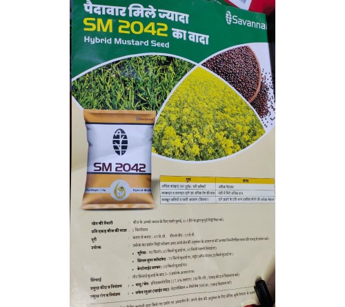 HYBRID MUSTARD SEEDS 