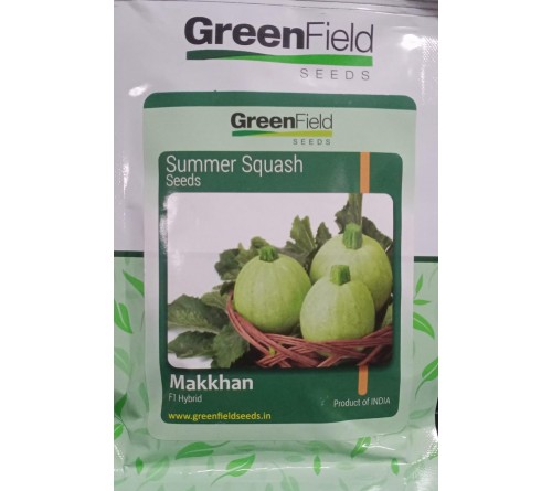 SUMMER SQUASH-MAKKHAN