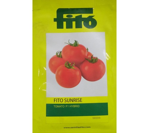 TOMATO-SUNRISE