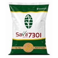 Savannah Sava 7301 Hybrid Paddy Seeds 3kg | Smart Rice Hybrid Variety for High Performance Farming | Seedlelo by JAIN AGENCIES Fatehabad