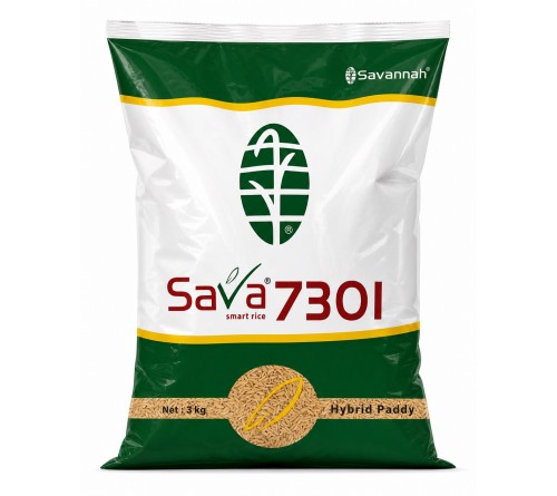Savannah Sava 7301 Hybrid Paddy Seeds 3kg | Smart Rice Hybrid Variety for High Performance Farming | Seedlelo by JAIN AGENCIES Fatehabad