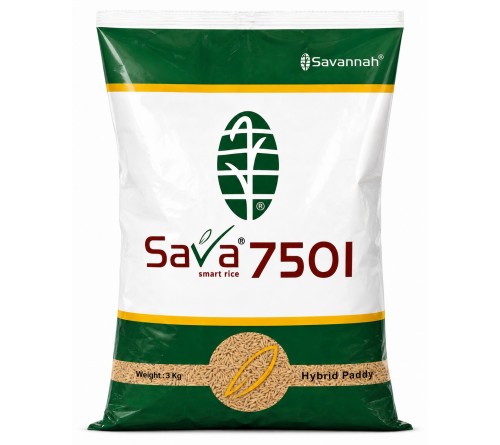 Savannah Sava 7501 Hybrid Paddy Seeds 3kg | Smart Rice Hybrid Variety for Healthy & Productive Farming | Seedlelo by JAIN AGENCIES Fatehabad