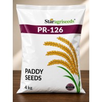 Star Agriseeds PR-126 Paddy Seeds 4kg | Premium Paddy Seed Variety for Healthy Crop Growth 