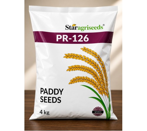 Star Agriseeds PR-126 Paddy Seeds 4kg | Premium Paddy Seed Variety for Healthy Crop Growth 