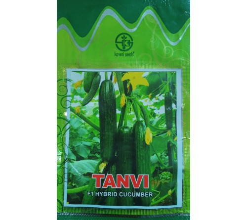 F1 HYBRID CUCUMBER-TANVI