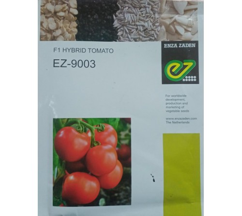 TOMATO - EZ 9003