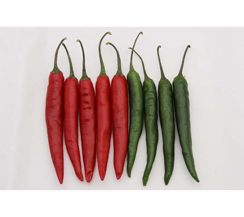 HOT PEPPERS/CHILLI F1 - INDAM-KRANTI